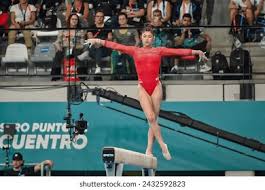 了廣泛關注 了廣泛關注