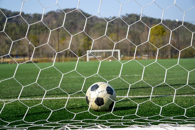 球员不同 球员不同