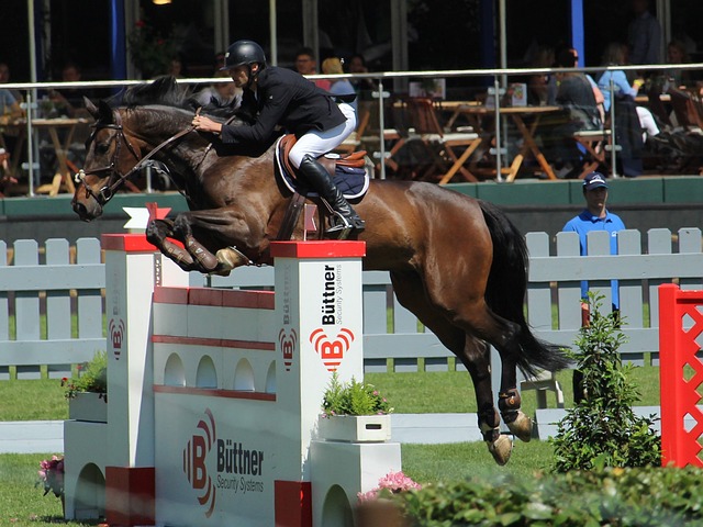 肩负着重塑 肩负着重塑