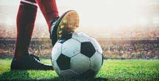 球队和球迷 球队和球迷