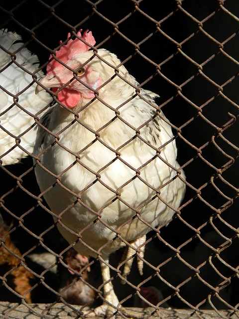 了不可小觑 了不可小觑