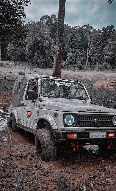 有些过重 有些过重